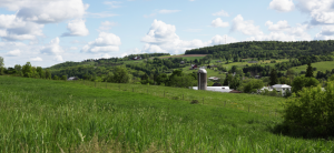 Rural New York 1000x667px